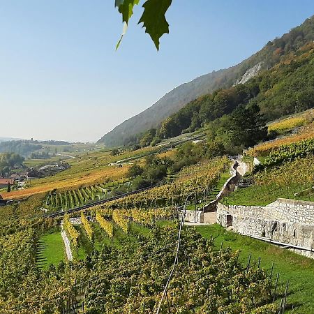 La Petite Fleur Apartman Enges Kültér fotó