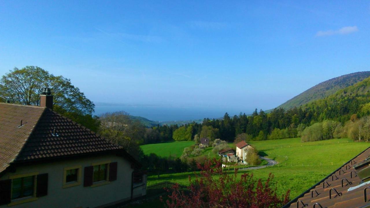 La Petite Fleur Apartman Enges Kültér fotó