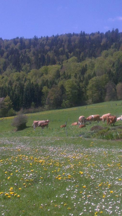 La Petite Fleur Apartman Enges Kültér fotó